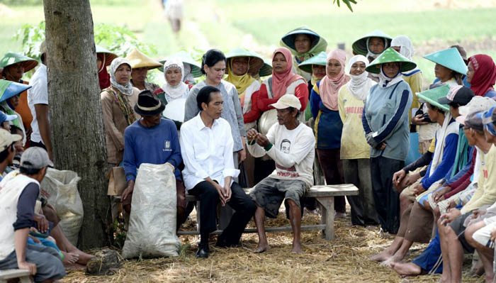 Kadistan Empat Provinsi Keluhkan Bulog Belum Serius Laksanakan Permendag No 27/2017